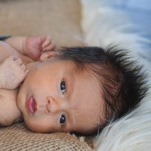 Meet Everett