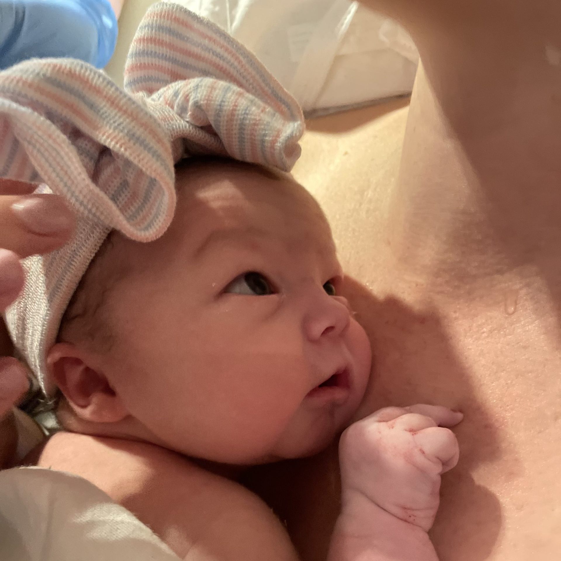 Meet Cathryn